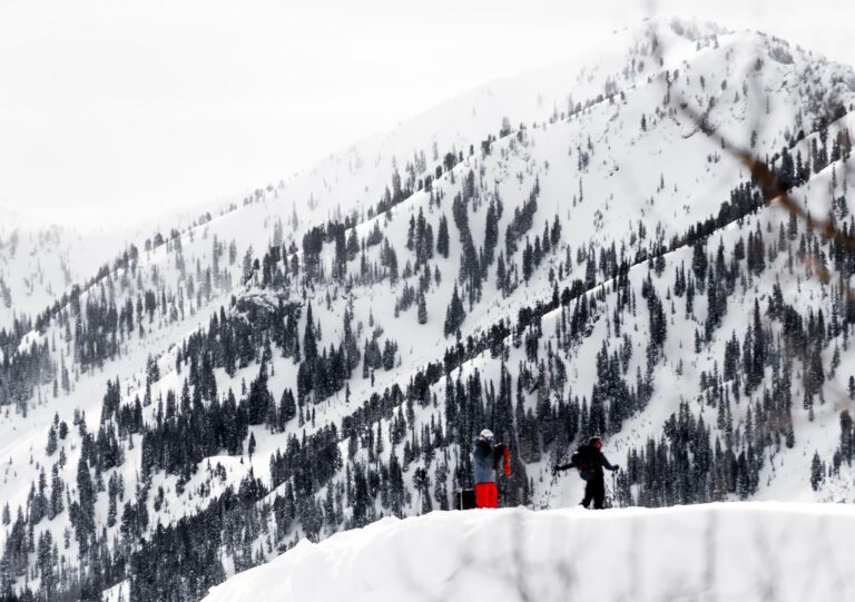 kask narciarski damski alpina