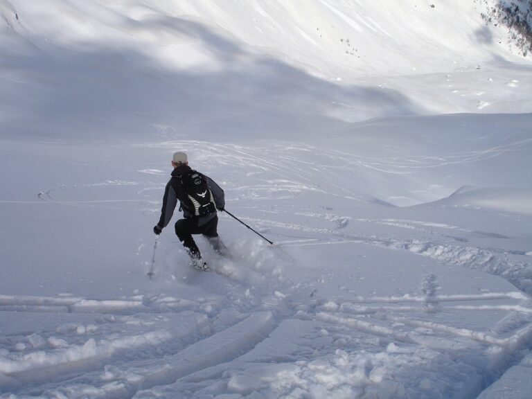 Kije narciarskie Nordica