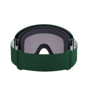 GOGLE POC ORB CLARITY MOLDANITE GREEN