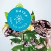 TECHNOLOGIA NATEX