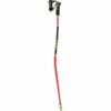 KIJE LEKI WORLDCUP RACING LITE GS 3D