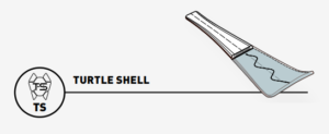 turtle shell